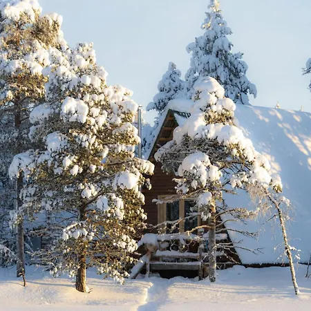 Cozy A-frame In The Woods 木屋 Pulju