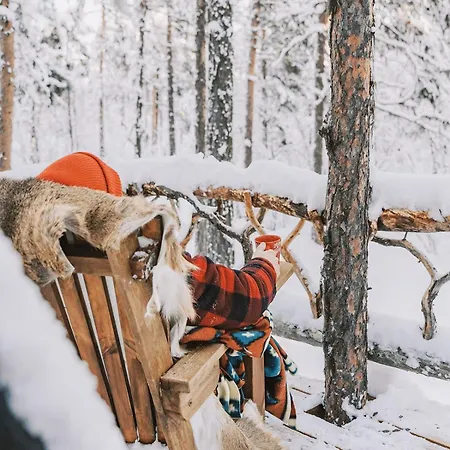 Cozy A-frame In The Woods *