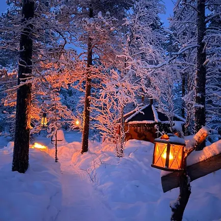 Cozy A-frame In The Woods 木屋 *
